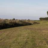Ma proprio mentre siamo di fronte all�ingresso dell�Ipercoop, davanti a noi si dischiude un panorama che assume i tratti di un quadretto. E� il verde a dominare e un dosso ricoperto da erbetta, arbusti e fichi d�India declina dolcemente verso il basso in una sorta di piccolo �canyon�, proprio accanto alla lama